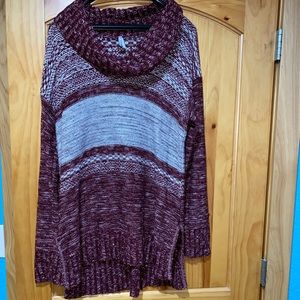 2XL Vanity Cowl Neck Tunic Sweater